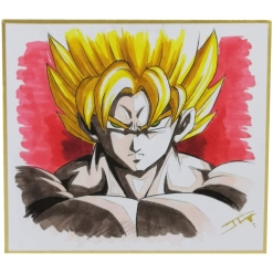 Plansa Shikishi Small 135 x 120 mm - Portrait