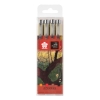 Set linere Pigma Micron Van Gogh 4